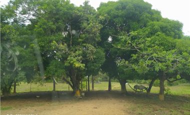 FINCA EN LOS SANTOS, LA PEÑA 9750 MTS2