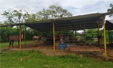 FINCA EN LOS SANTOS, LA PEÑA 9750 MTS2