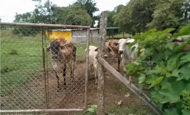 FINCA EN LOS SANTOS, LA PEÑA 9750 MTS2