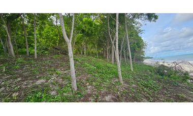 Se vende terreno de playa en San Carlos