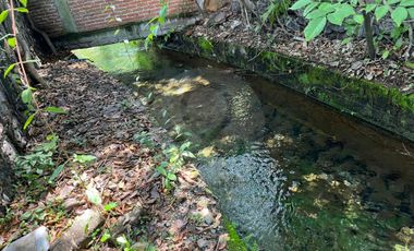 Casa en venta en Pueblo Chiconcuac