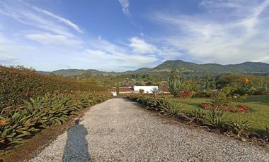 ARRIENDO de CASAS en LA CEJA
