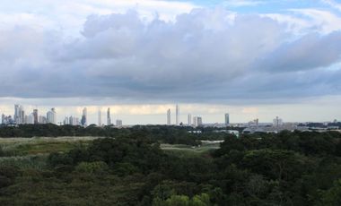 Alquilo espectacular penthouse en albrook