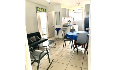 Alquilo apartamento en llano bonito amoblado