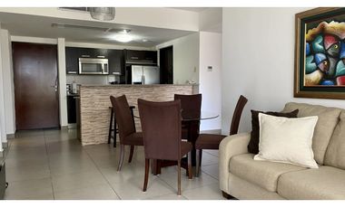 Alquilo espectacular apartamento en ph Mosaic