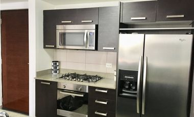 Alquilo espectacular apartamento en ph Mosaic
