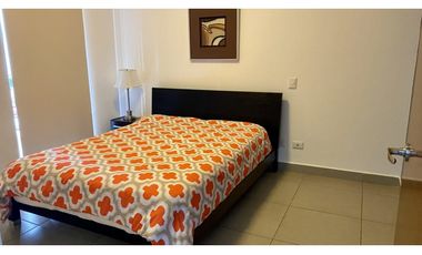 Alquilo espectacular apartamento en ph Mosaic
