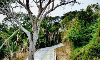 Venta de Departamentos y Lotes Residenciales en Punta de Mita