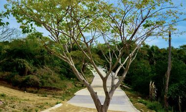 Venta de Departamentos y Lotes Residenciales en Punta de Mita