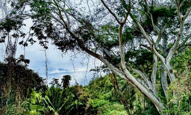 Venta de Departamentos y Lotes Residenciales en Punta de Mita