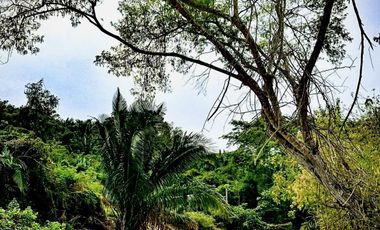 Venta de Departamentos y Lotes Residenciales en Punta de Mita