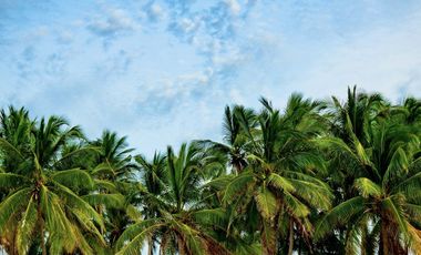 Venta de Departamentos y Lotes Residenciales en Punta de Mita