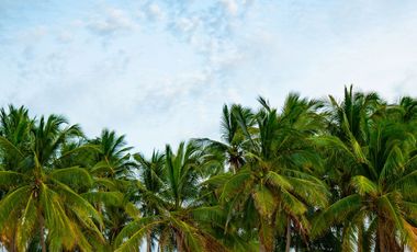 Venta de Departamentos y Lotes residenciales en Punta Mita