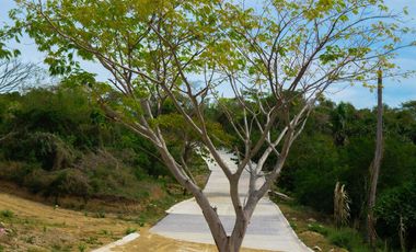 Venta de Departamentos y Lotes residenciales en Punta Mita