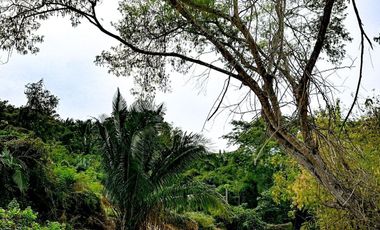 Venta de Departamentos y Lotes residenciales en Punta Mita