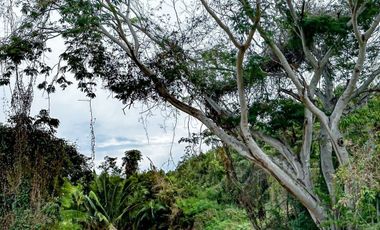 Venta de Departamentos y Lotes residenciales en Punta Mita