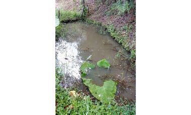 Venta finca Anolaima