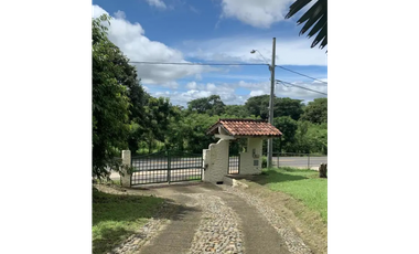 CHITRE / CASA DE CAMPO / 4300 M2 / CON CASA DE HUESPED