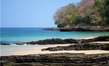 ARCHIPELAGO DE LAS PERLAS / ISLA SABOGA / FRENTE AL MAR / 2000 M2