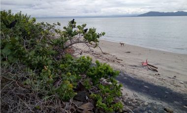 Vendo terreno de playa en Cocle