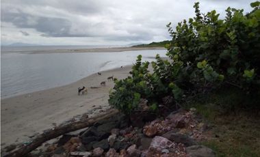 Vendo terreno de playa en Cocle