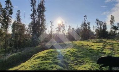 Parcela en Venta en RUTA G 60 KL 15. ENTRADA POR BOSQUEZ DE SANTA CECILIA