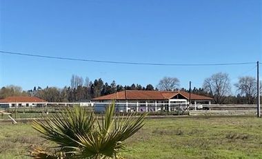 Parcela en Venta en Valle la purisima, Teno
