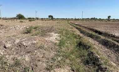 TERRENO EN VENTA EJIDO HORMIGUERO TORREON COAHUILA