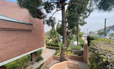Terreno venta Cumbres de Juárez.Cerca Zona Centro,Garita de San Ysidro,Zona Rio