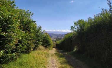 VENDE LOTE CON BODEGUITA Y CULTIVO DURAZNOS SOTAQUIR BOYACA