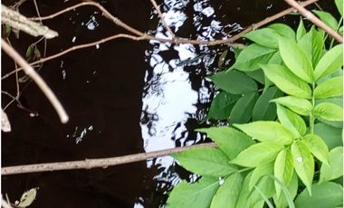 VENDE LOTE CON BODEGUITA Y CULTIVO DURAZNOS SOTAQUIR BOYACA