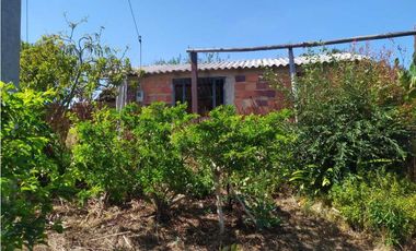 VENDE LOTE CON BODEGUITA Y CULTIVO DURAZNOS SOTAQUIR BOYACA