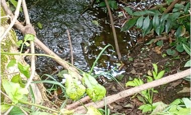 VENDE LOTE CON BODEGUITA Y CULTIVO DURAZNOS SOTAQUIR BOYACA