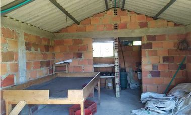 VENDE LOTE CON BODEGUITA Y CULTIVO DURAZNOS SOTAQUIR BOYACA