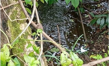 VENDE LOTE CON BODEGUITA Y CULTIVO DURAZNOS SOTAQUIR BOYACA