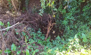 VENDE LOTE CON BODEGUITA Y CULTIVO DURAZNOS SOTAQUIR BOYACA