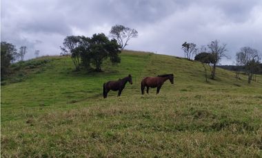 Finca 156 fanegadas Reserva Forestal Se Vende Sotaquirá Boyacá.