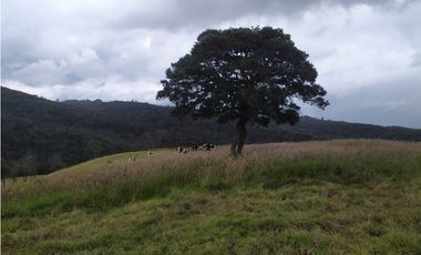 Finca 156 fanegadas Reserva Forestal Se Vende Sotaquirá Boyacá.