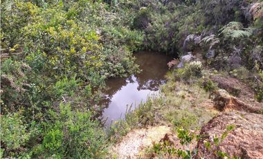 Finca 156 fanegadas Reserva Forestal Se Vende Sotaquirá Boyacá.