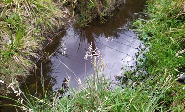 Finca 156 fanegadas Reserva Forestal Se Vende Sotaquirá Boyacá.