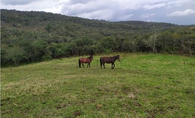 Finca 156 fanegadas Reserva Forestal Se Vende Sotaquirá Boyacá.