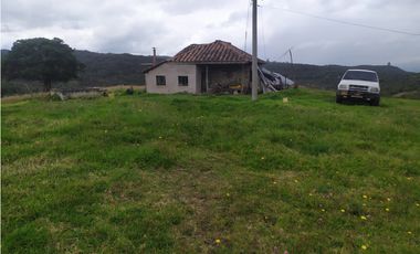 Finca 156 fanegadas Reserva Forestal Se Vende Sotaquirá Boyacá.