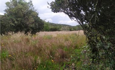 Finca 156 fanegadas Reserva Forestal Se Vende Sotaquirá Boyacá.