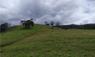 Finca 156 fanegadas Reserva Forestal Se Vende Sotaquirá Boyacá.