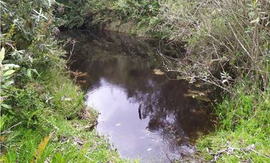Finca 156 fanegadas Reserva Forestal Se Vende Sotaquirá Boyacá.