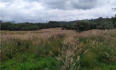 Finca 156 fanegadas Reserva Forestal Se Vende Sotaquirá Boyacá.