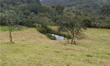 Finca 156 fanegadas Reserva Forestal Se Vende Sotaquirá Boyacá.