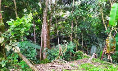 VENDO CASA CON LOTE. REA 672 m2  PACHO CUNDINAMARCA