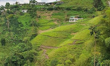 VENTA de FINCAS en PEREIRA