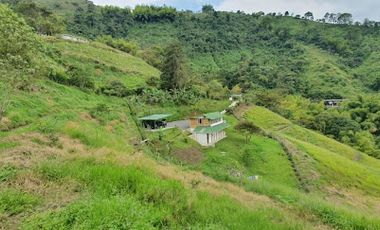 VENTA de FINCAS en PEREIRA